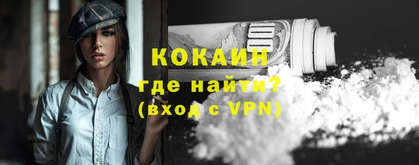 прущая мука Вяземский