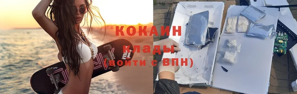 прущая мука Вяземский