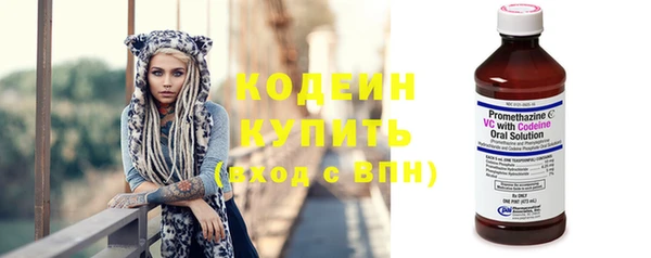 прущая мука Вяземский