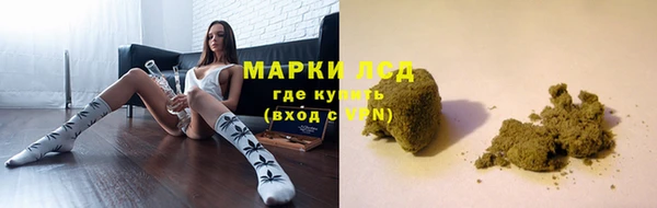 прущая мука Вяземский