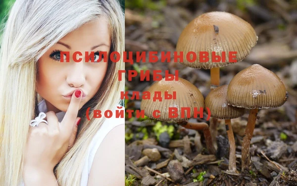 бутират Вязники