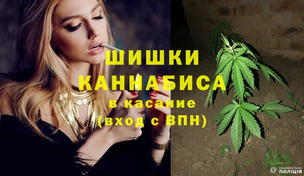 прущая мука Вяземский