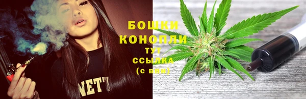 прущая мука Вяземский