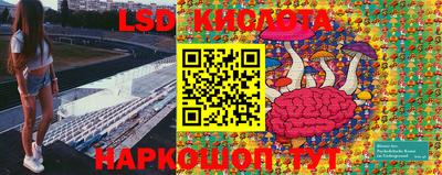 ГАЛЛЮЦИНОГЕННЫЕ ГРИБЫ Жуковский