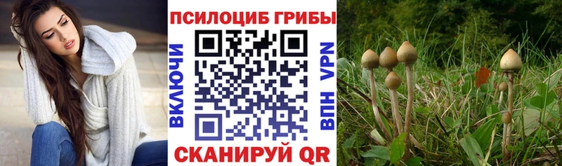 Псилоцибиновые грибы прущие грибы Назарово