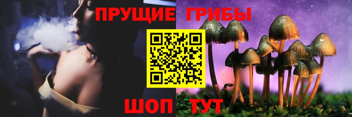 Галлюциногенные грибы Psilocybine cubensis  Псилоцибиновые грибы GOLDEN TEACHER  Назарово  Вход с VPN 