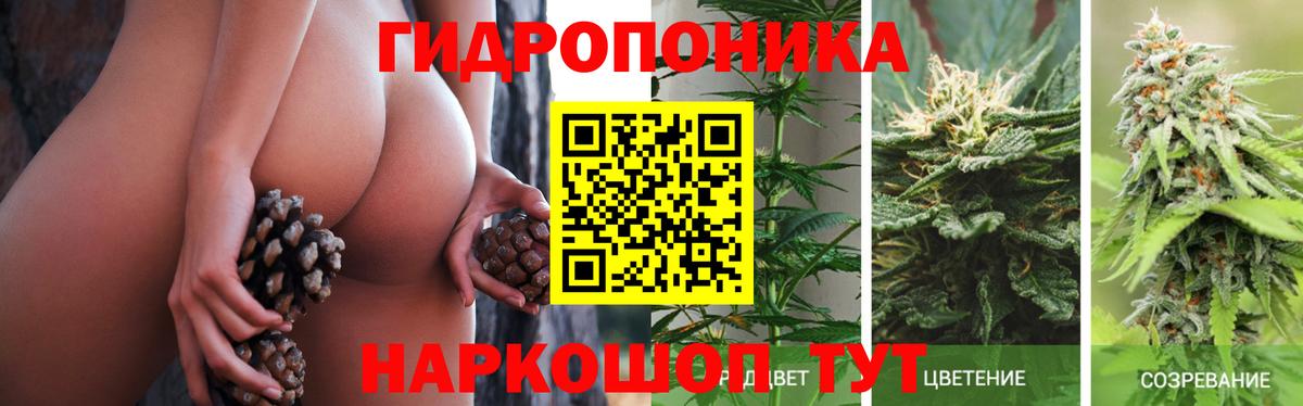 Конопля индика  Бошки Шишки Amnesia  Канабис план  Назарово  Вход с VPN 